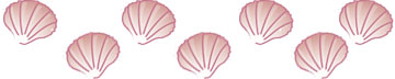 shellbanner